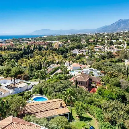 Heismax Ref #40 فيلة *